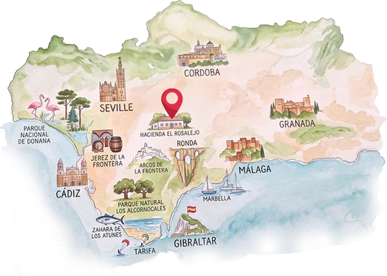 Illustrated map of Andalusia showing the hacienda, Seville, Córdoba, Granada, Málaga and Cádiz
